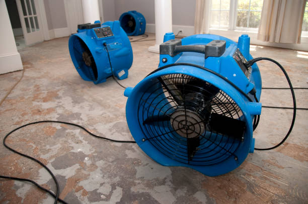 Best Ceiling water damage repair  in Lackawanna, NY