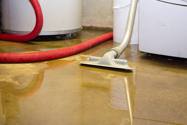 Best Basement water damage restoration  in Lackawanna, NY