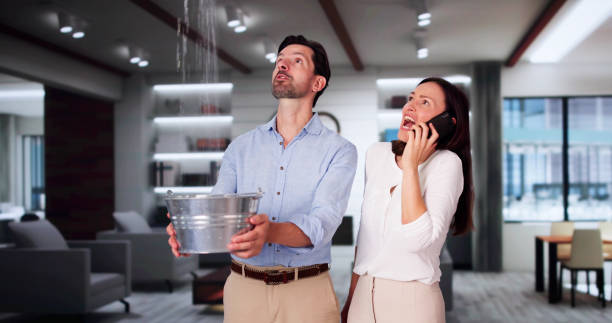 Best Water damage contractors near me  in Lackawanna, NY