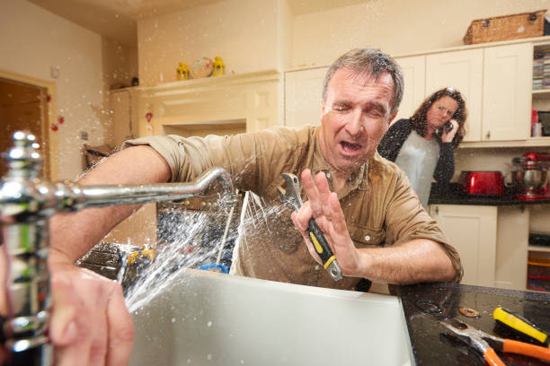 Best Basement water damage restoration  in Lackawanna, NY